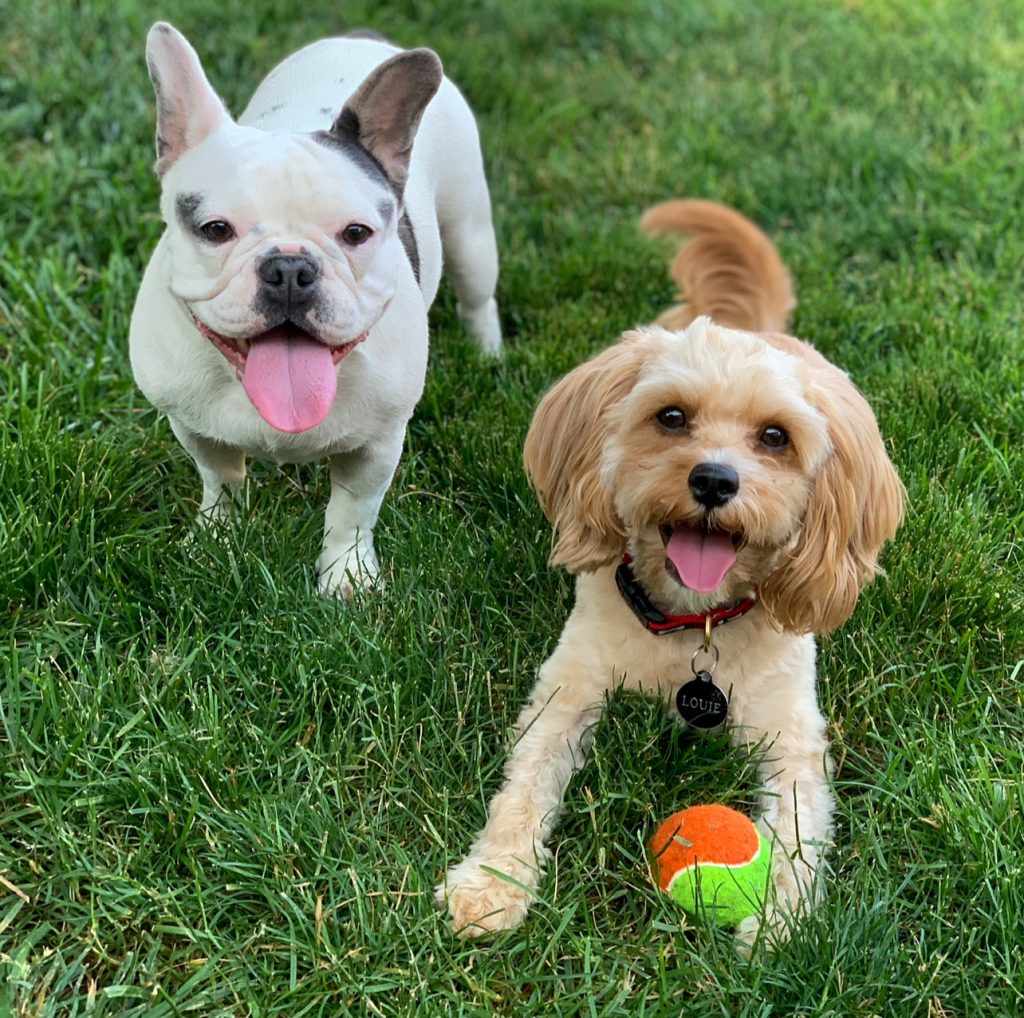 Sonny and Louie